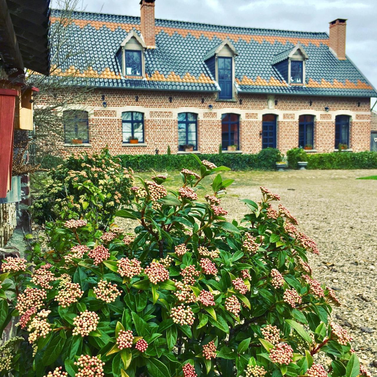 Paardenhof Guesthouse Esquelbecq Esterno foto